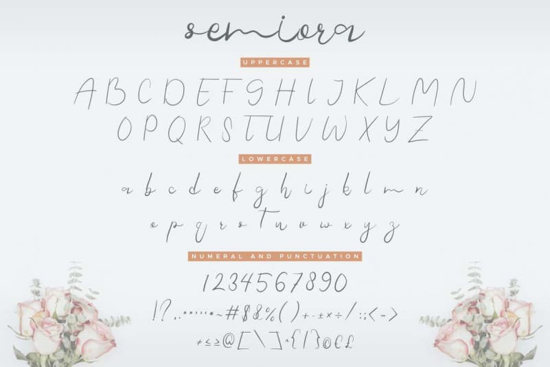 Semiora Calligraphy Font preview image 4
