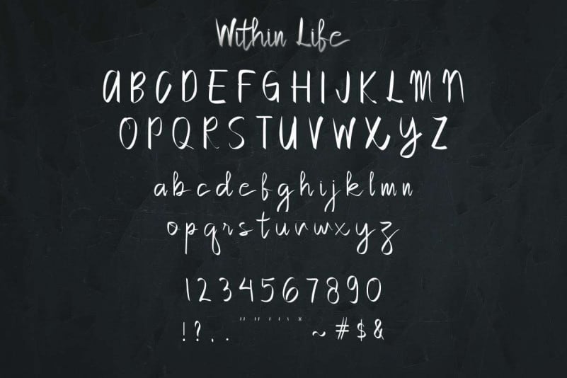 Within Life Handmade Script Font preview image 3