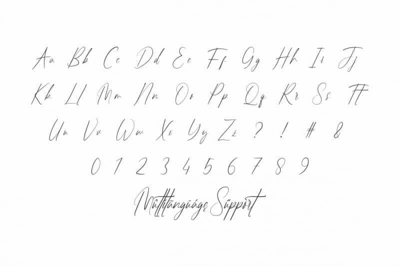 Hostiline Signature Handwriting Font preview image 3