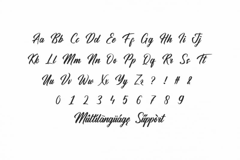Hamsterly Script Font preview image 3