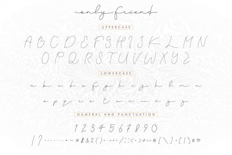 Only Friend Signature Script Font preview image 5