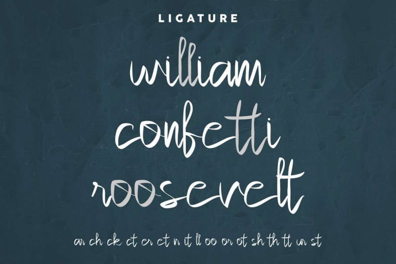 Within Life Handmade Script Font preview image 5