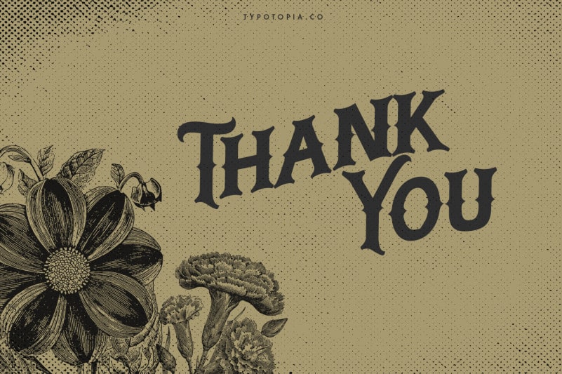 Dakota Display Font preview image 5