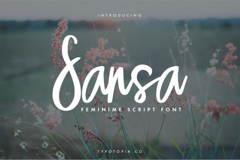 Sansa Script Font