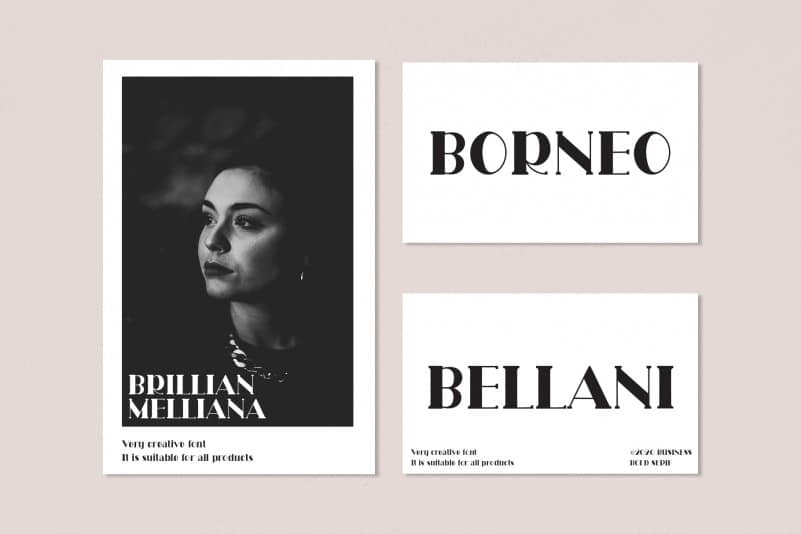 Rollina Serif Font preview image 2