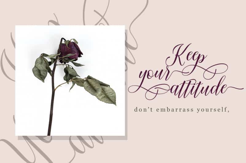 Chedaty Calligraphy Font preview image 2