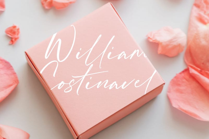 William Costinavel Handwritten Font preview image 5