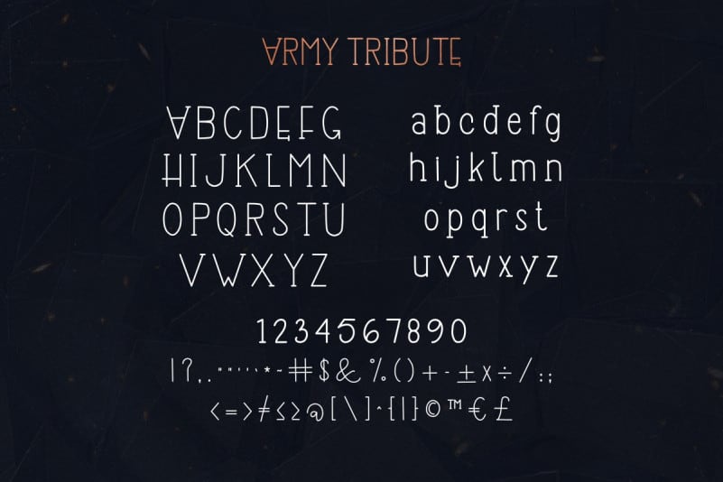 Army Tribute Display Sans Font preview image 3
