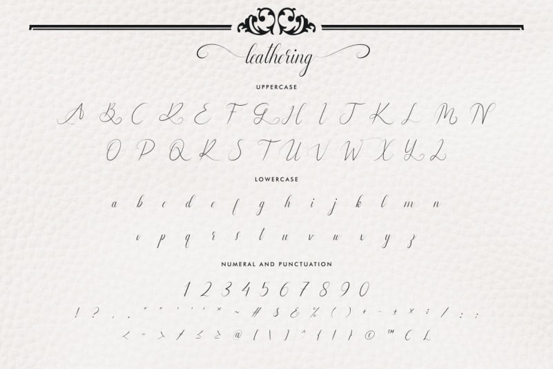 Leathering Calligraphy Script Font preview image 4