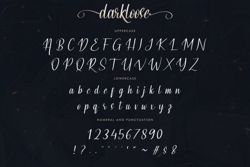 Darkloose Calligraphy Script Font preview image 4