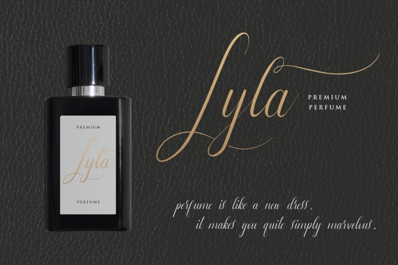 Leathering Calligraphy Script Font preview image 5