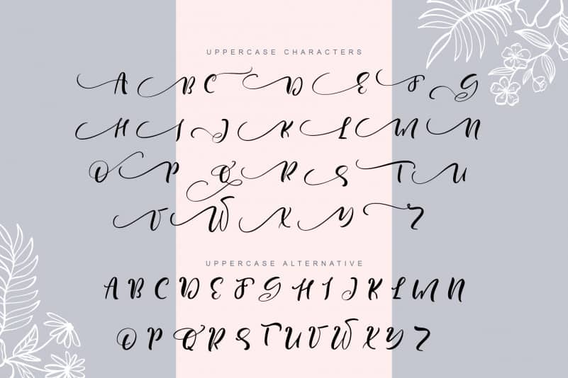 Inspiration Hand Drawn Font preview image 2