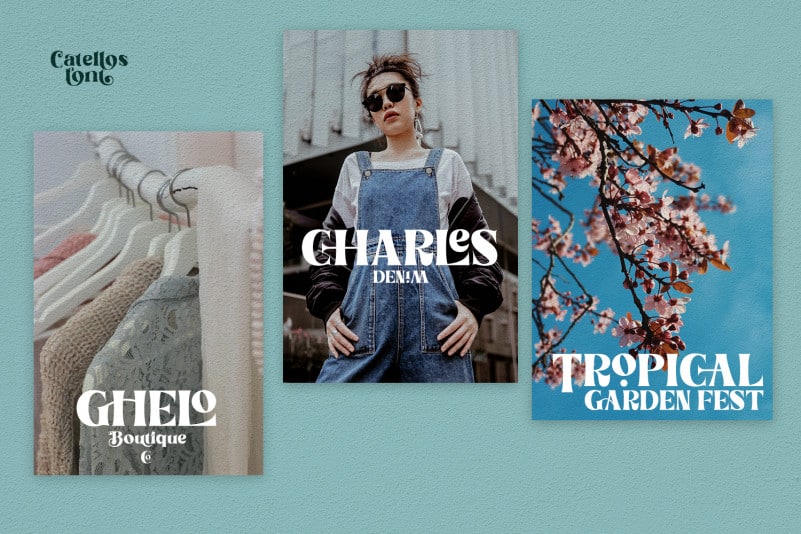 Catellos Serif Font preview image 2