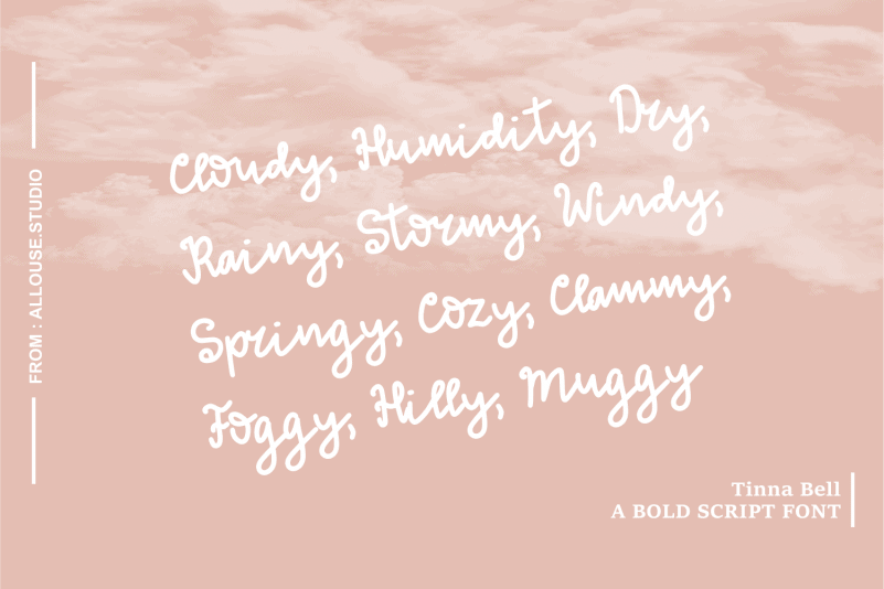 Tinna Bell Handwritten Font preview image 3