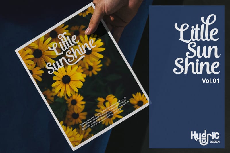 Chinchilla Script Font preview image 3