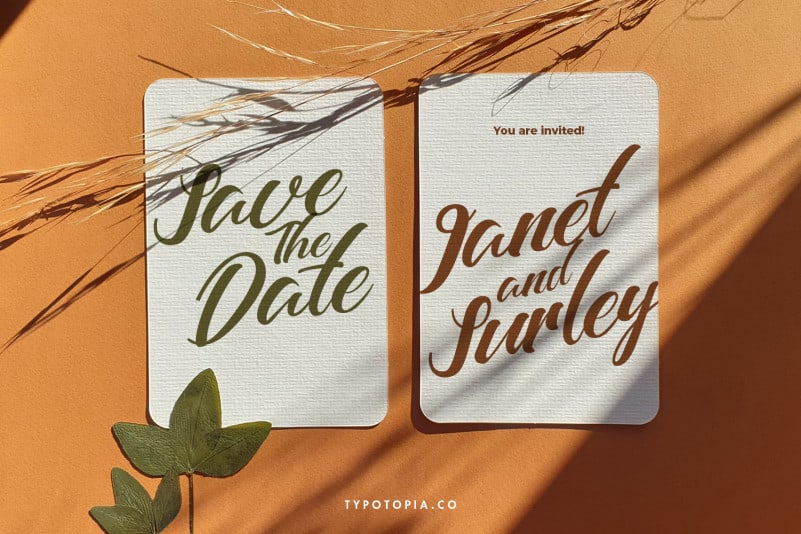 Barcely Fancy Script Font preview image 3
