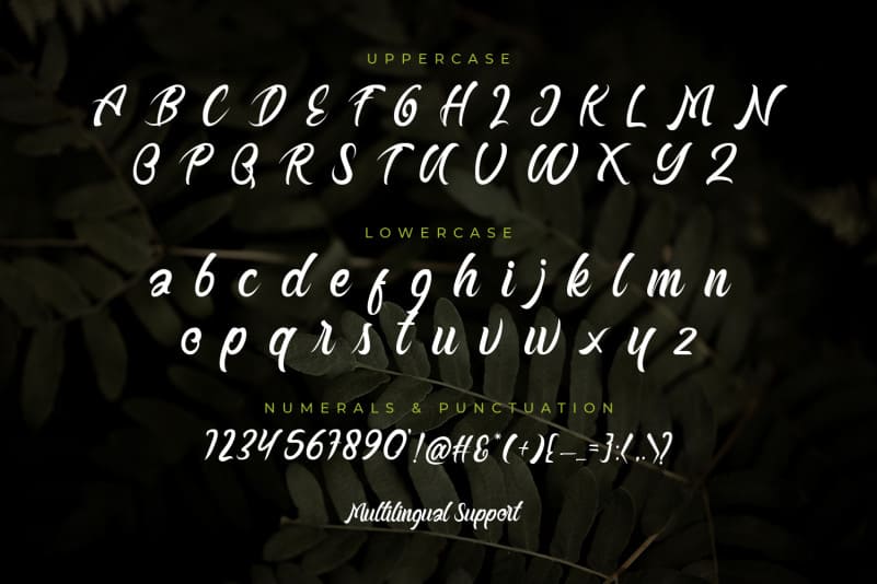 Buttermill Fancy Script Typeface preview image 2