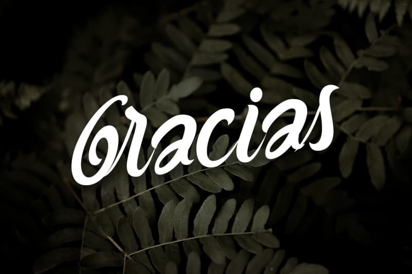 Buttermill Fancy Script Typeface preview image 5