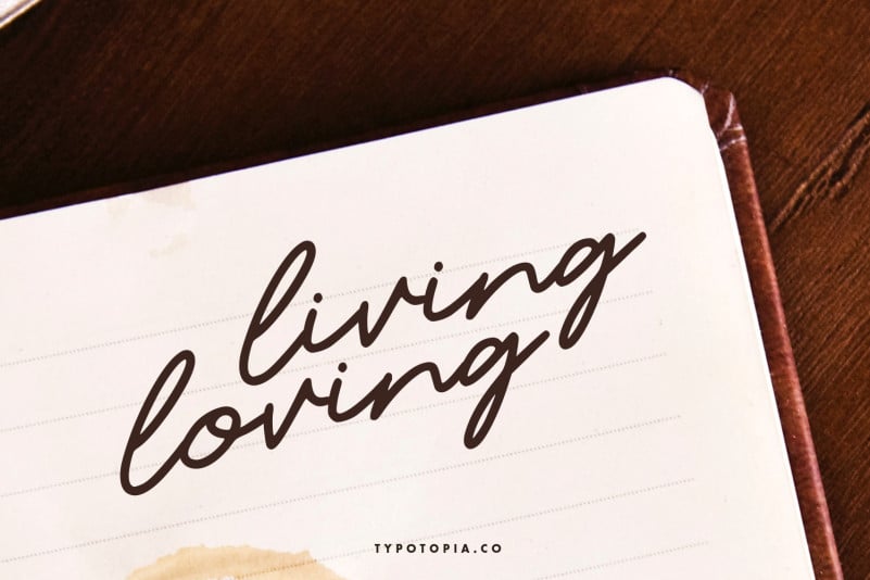 Candelia Handwritten Font preview image 3
