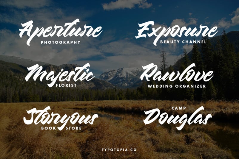 Chesnut Modern Script Font preview image 3