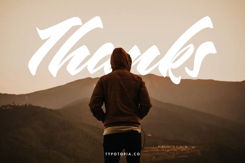 Chesnut Modern Script Font preview image 5