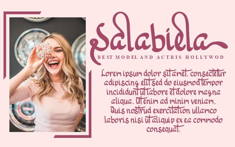 Hello Sonia Script Font preview image 2
