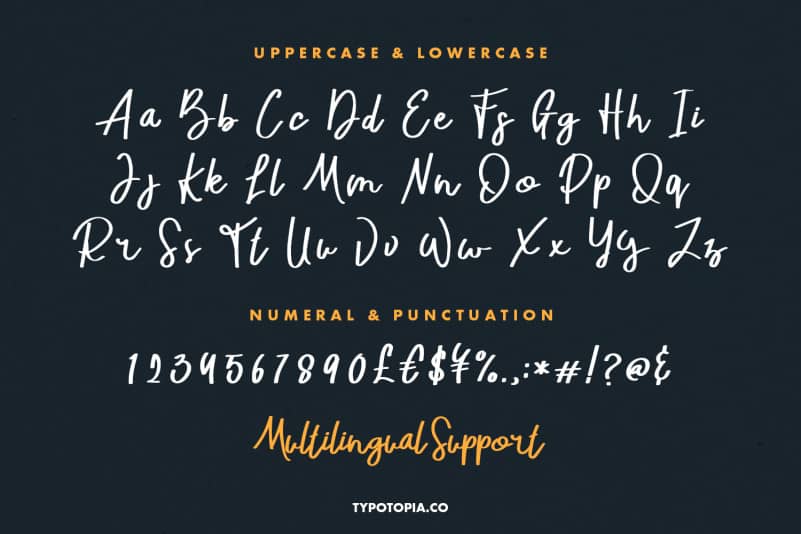 Jupiter Fancy Script Font preview image 2