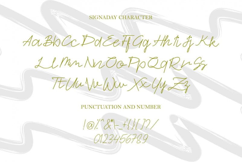 Signaday Handwritten Font preview image 5