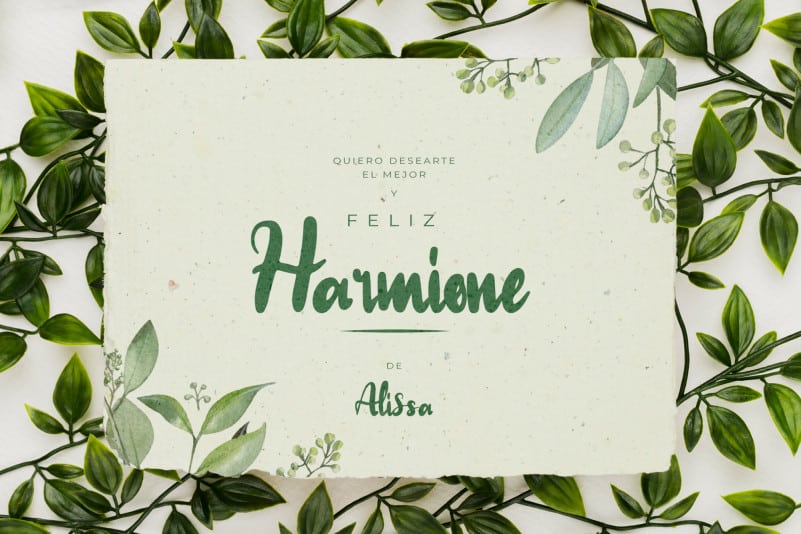 Love Whisper Script Font preview image 2