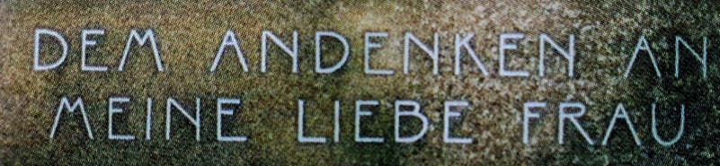What could this font be?
