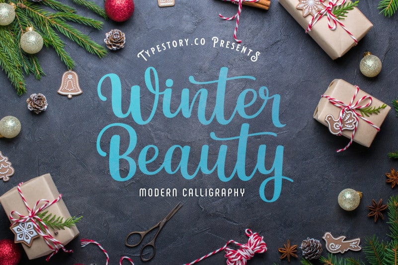 Winter Beauty Script Font