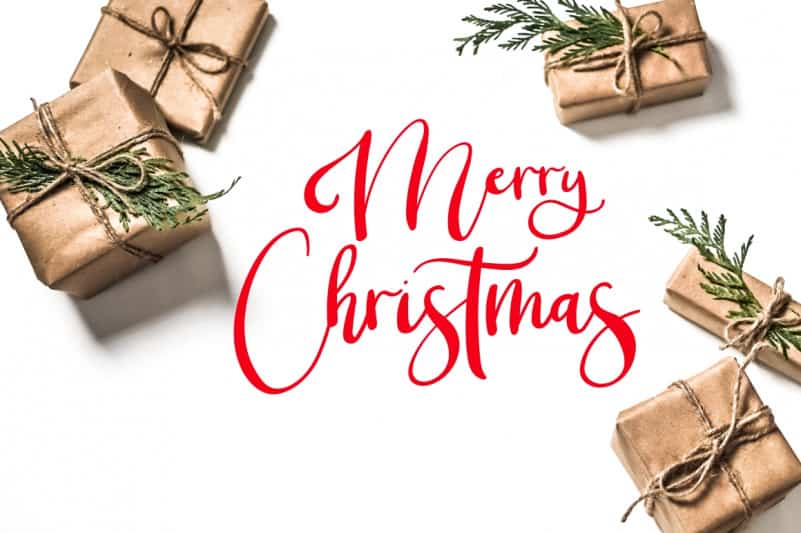 Christmas Blossom Font preview image 5