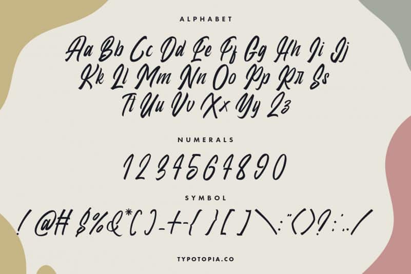 Dudley Modern Script Font preview image 2