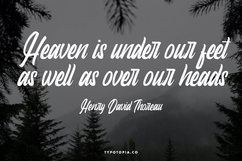 Dudley Modern Script Font preview image 4