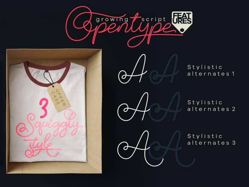 Growing Handwritten Font preview image 3