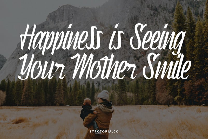 Munich Modern Script Font preview image 4