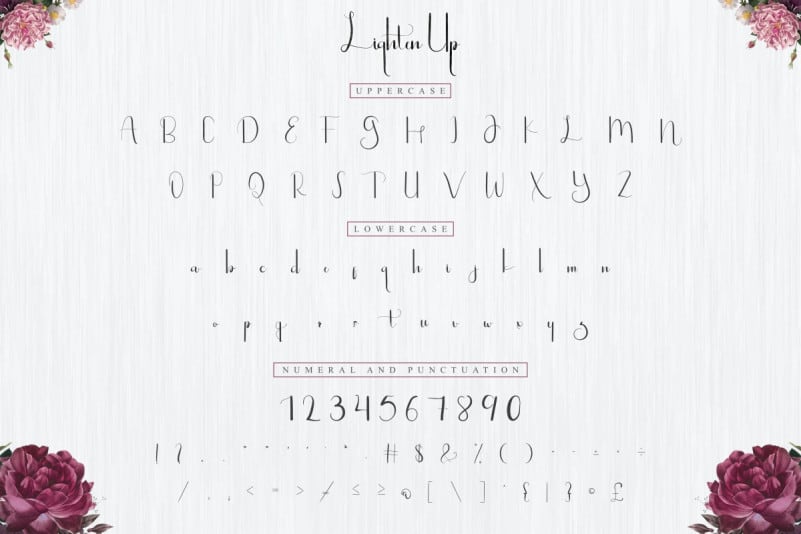 Lighten Up Luxury Script Font preview image 3