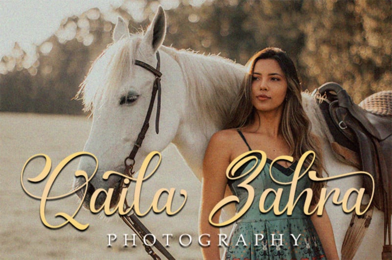 Gerliya Calligraphy Font preview image 3