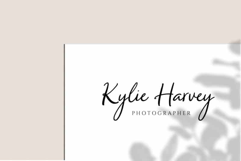 South Dallas Script Font preview image 3