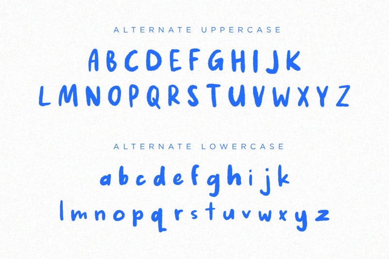 Fake Nice Display Font preview image 4
