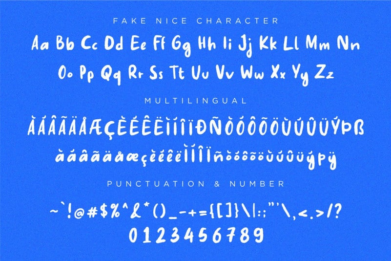 Fake Nice Display Font preview image 3