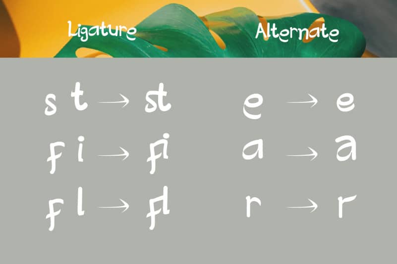 Creative Designer Font preview image 3