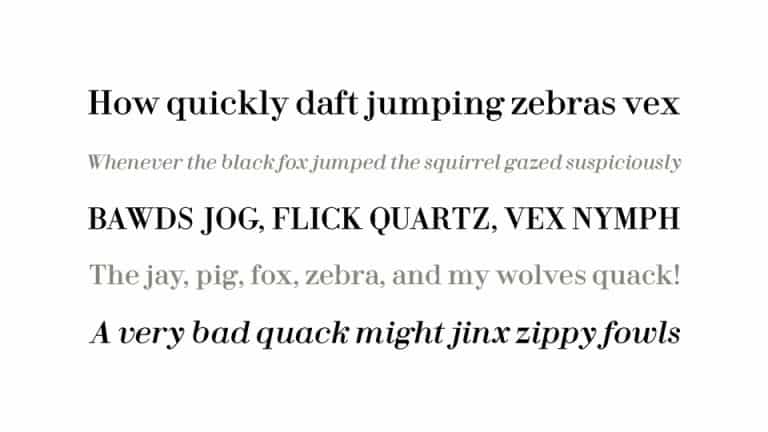 Fin Display Serif Font preview image 2