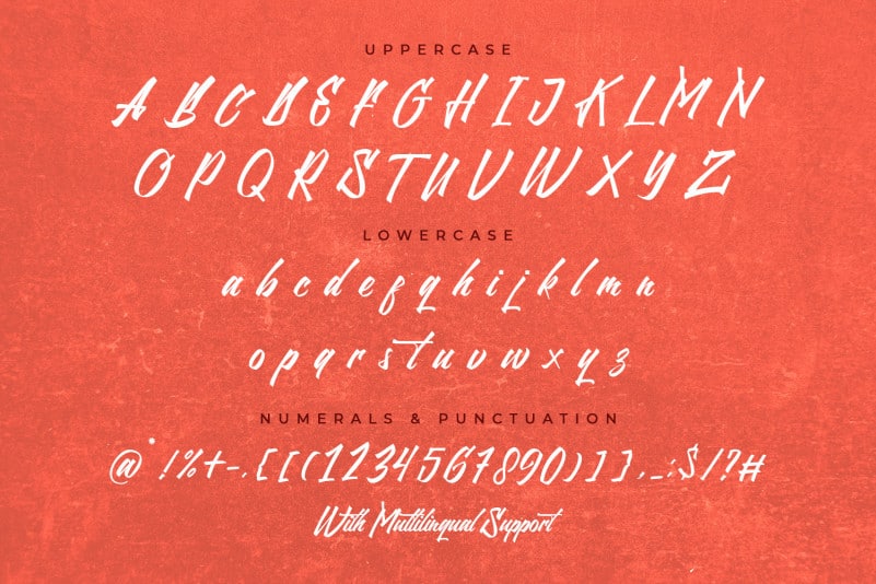 Northline Modern Script Font preview image 2