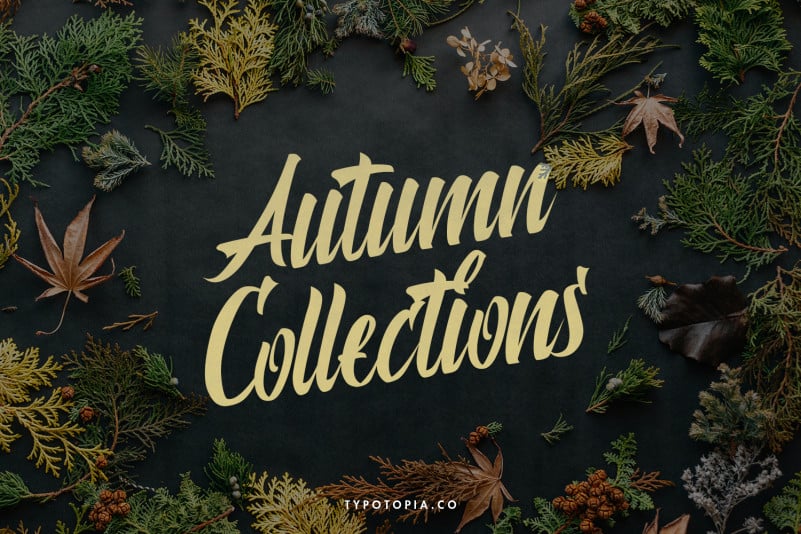 Polaria Script Typeface preview image 3
