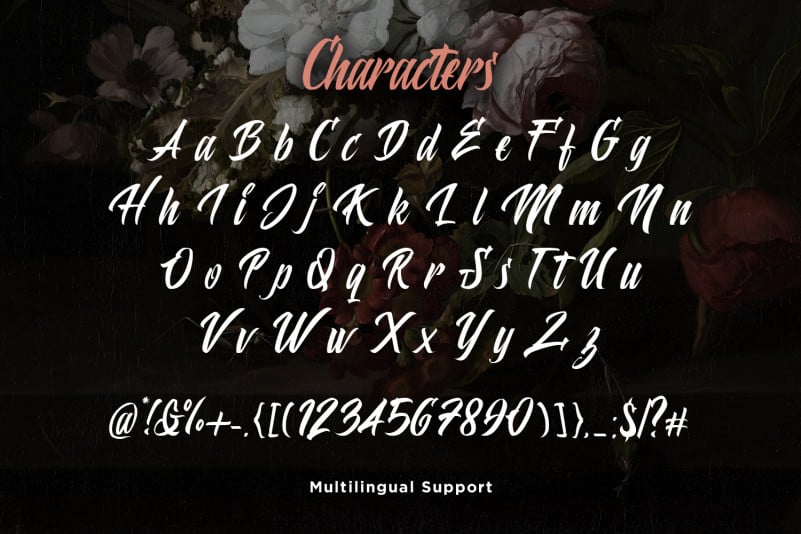 Polaria Script Typeface preview image 2