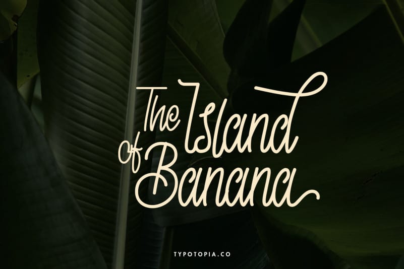 Skyline Monoline Script Font preview image 4