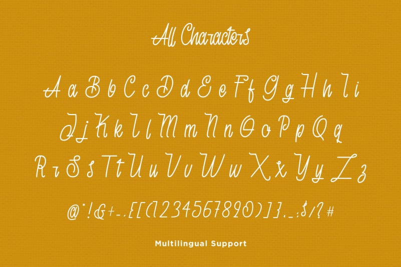 Skyline Monoline Script Font preview image 2