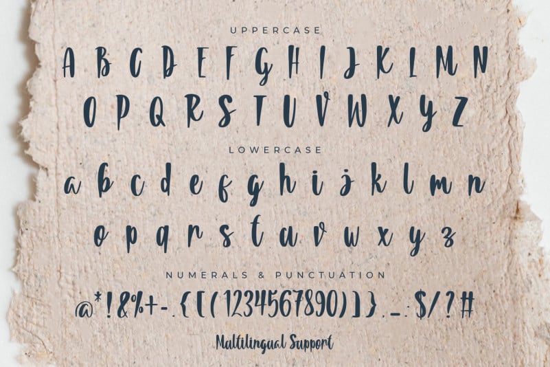 Summeria Handbrush Script Font preview image 2
