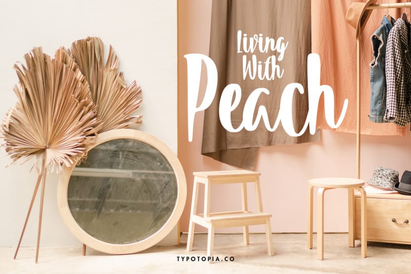 Summeria Handbrush Script Font preview image 4